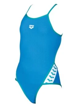 Arena Girls Team Stripe Swimsuit Blue/Green