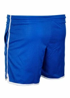 Akron Women's Waikiki - Royal Blue 8 Akron Women's Waikiki - Royal Blue -Swim Equipment Shop 326 waikiki blue 4 1 2