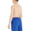 Zoggs Boys Penrith 15 Inch Length Shorts - Speed Blue -Swim Equipment Shop tumbnail 3621c0e1 bff7 427a 9f32 9127e049406f