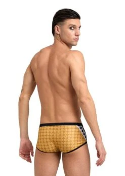 Arena 50th Anniversary Limited Edition Low Waist Short - Gold/Multi/Black